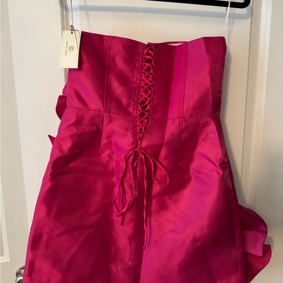 Sierra Darien Vibrant Pink Rose Dress - Picture 6 of 8